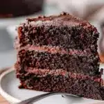 Delicious gluten-free chocolate cake served on a white plate with chocolate frosting.
